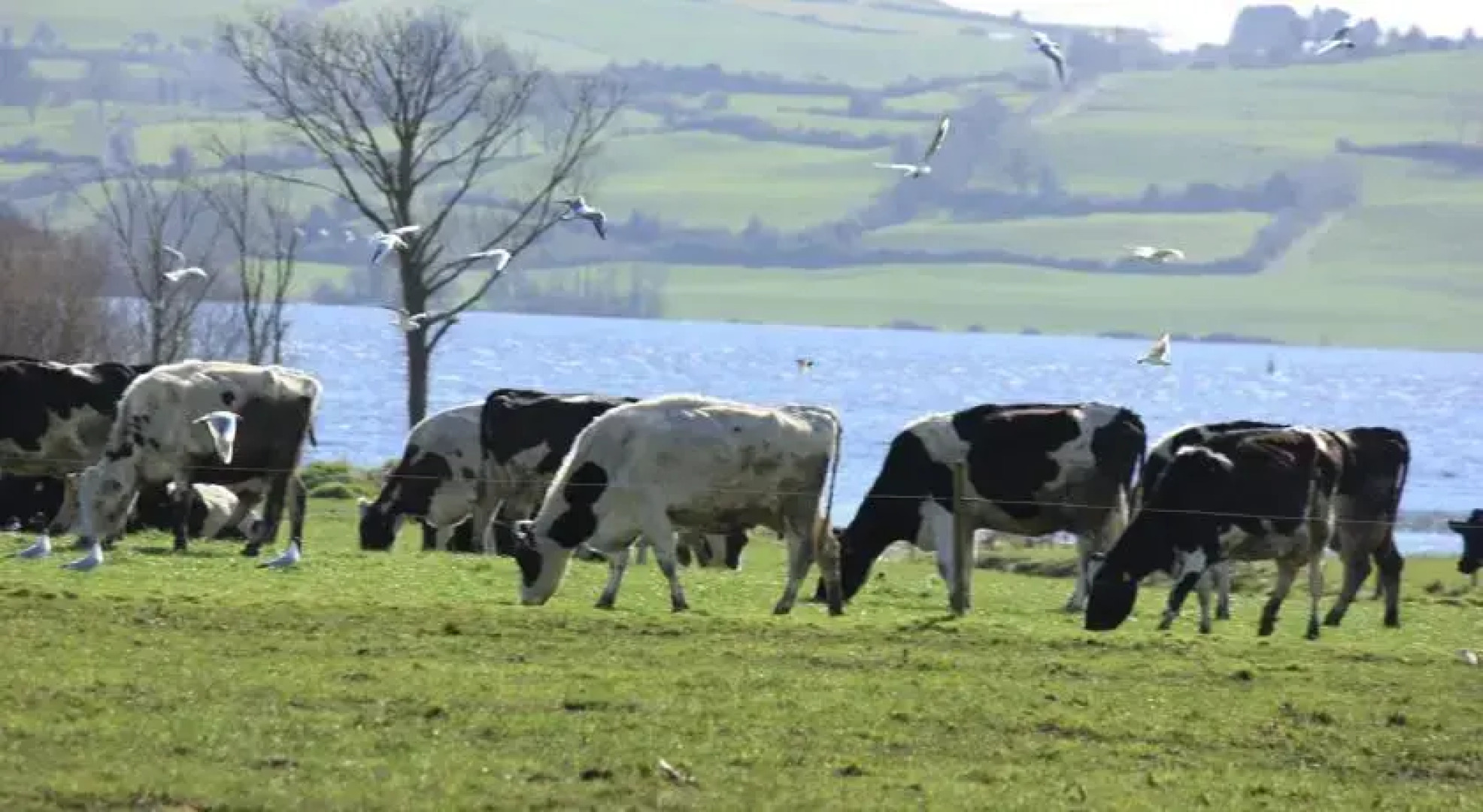 Sunrise Bed & Breakfast