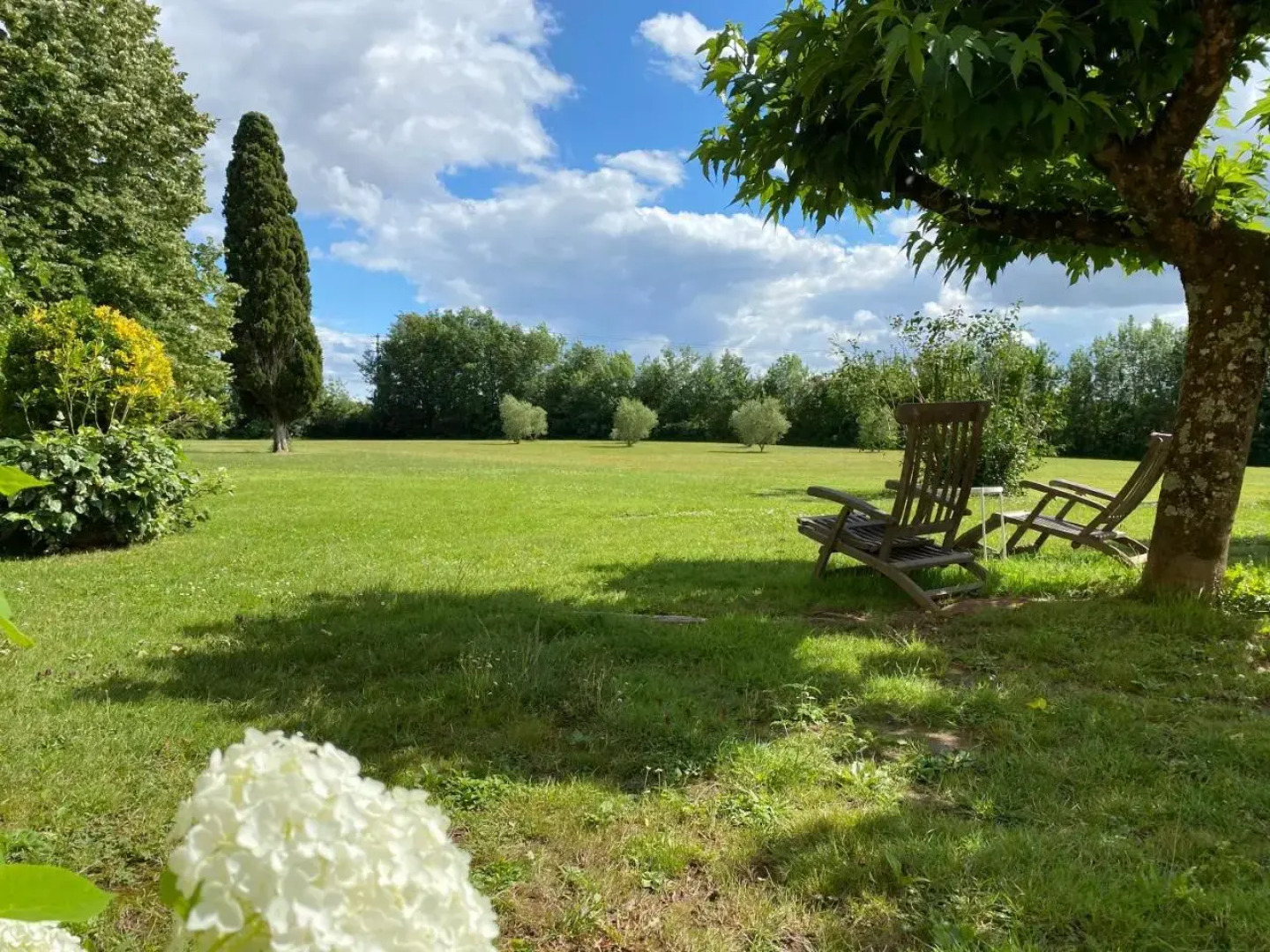 Les Buis de Saint Martin