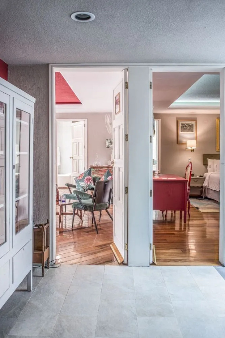 Pug Seal B&B Coyoacan