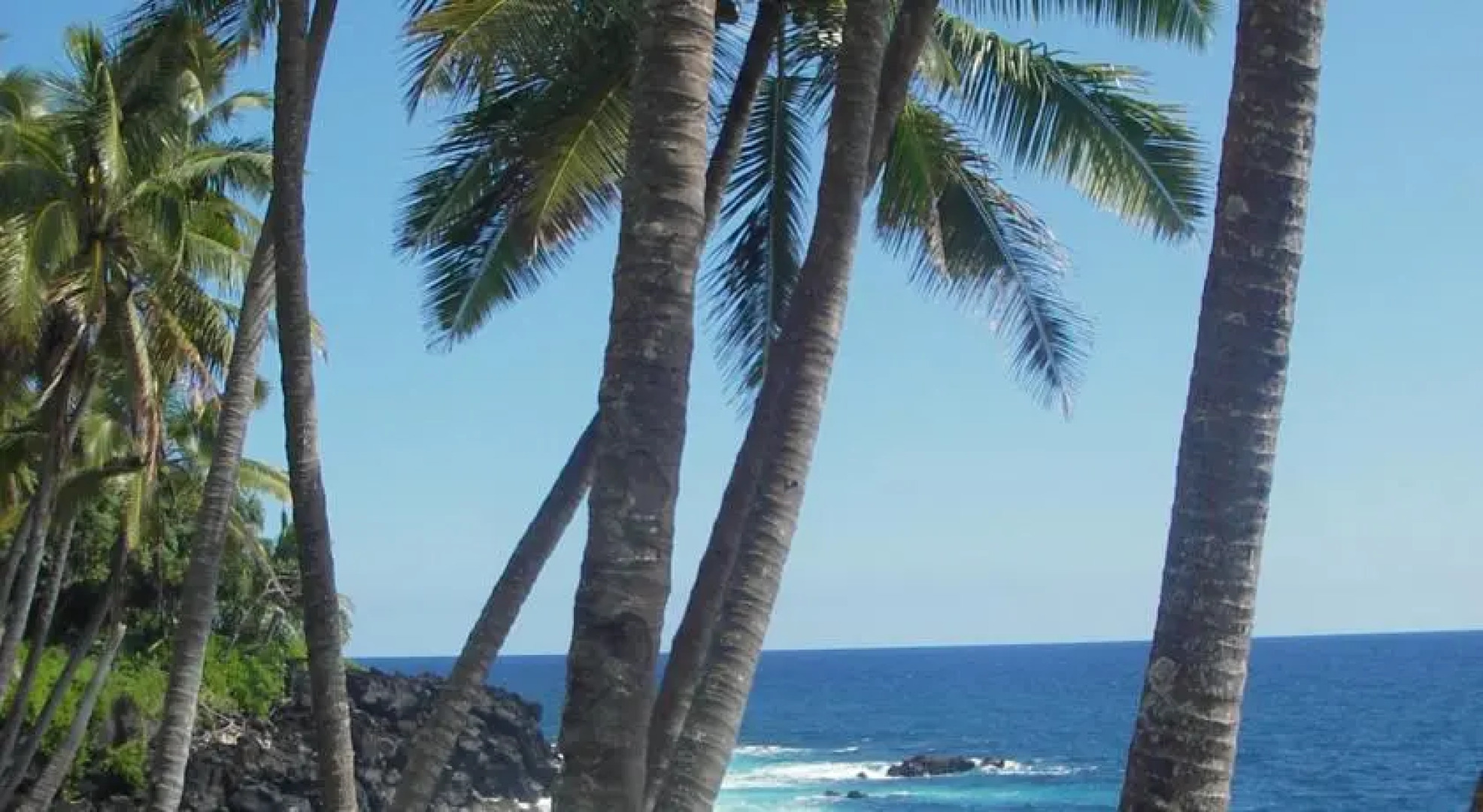 Sandras Vacation Retreat