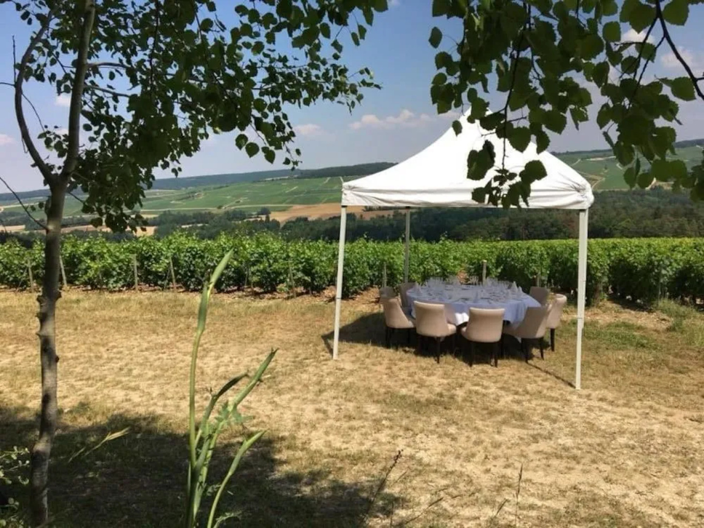 Logis Hôtel-Restaurant Domaine de Montecristo