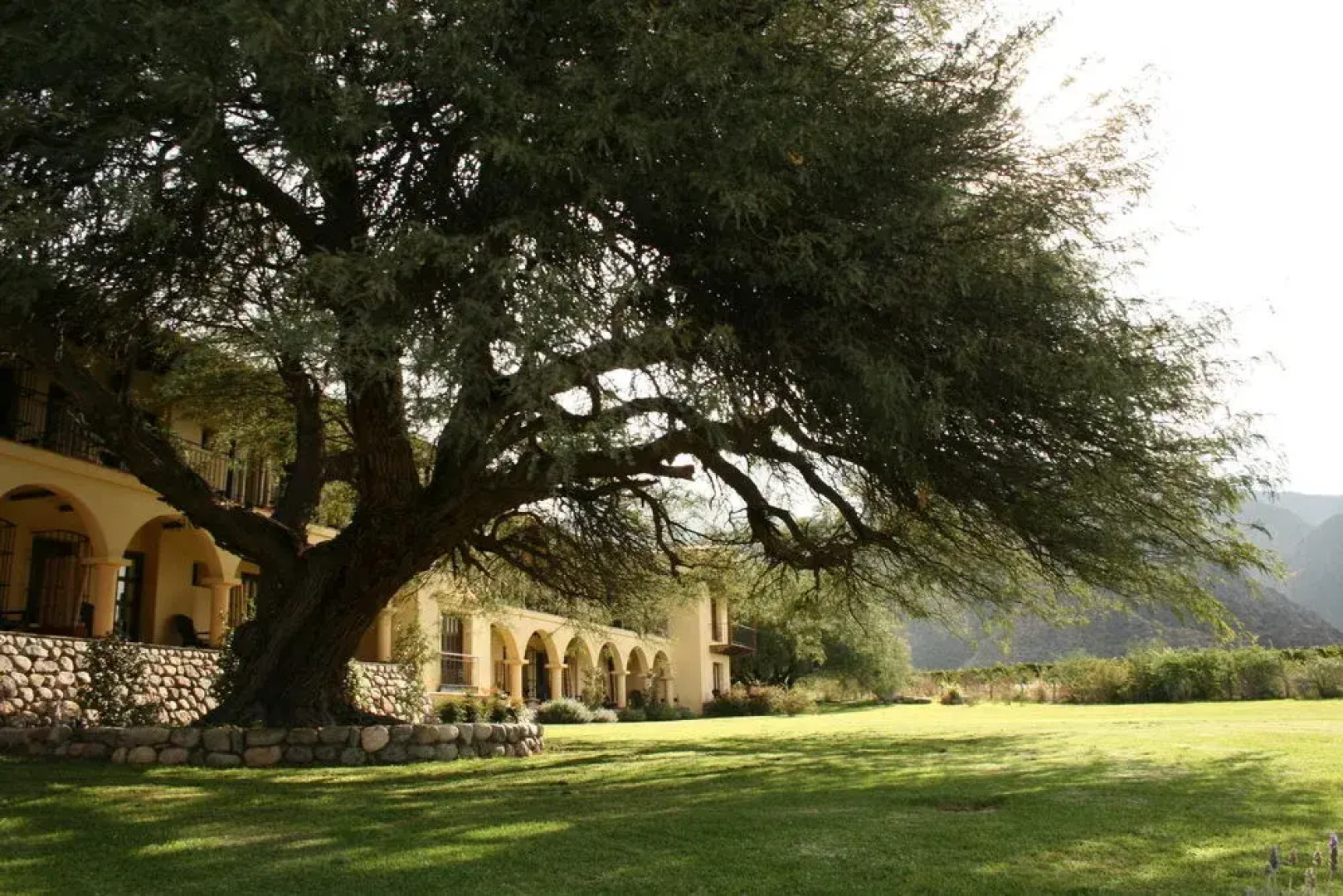 Altalaluna Hotel Boutique & Spa