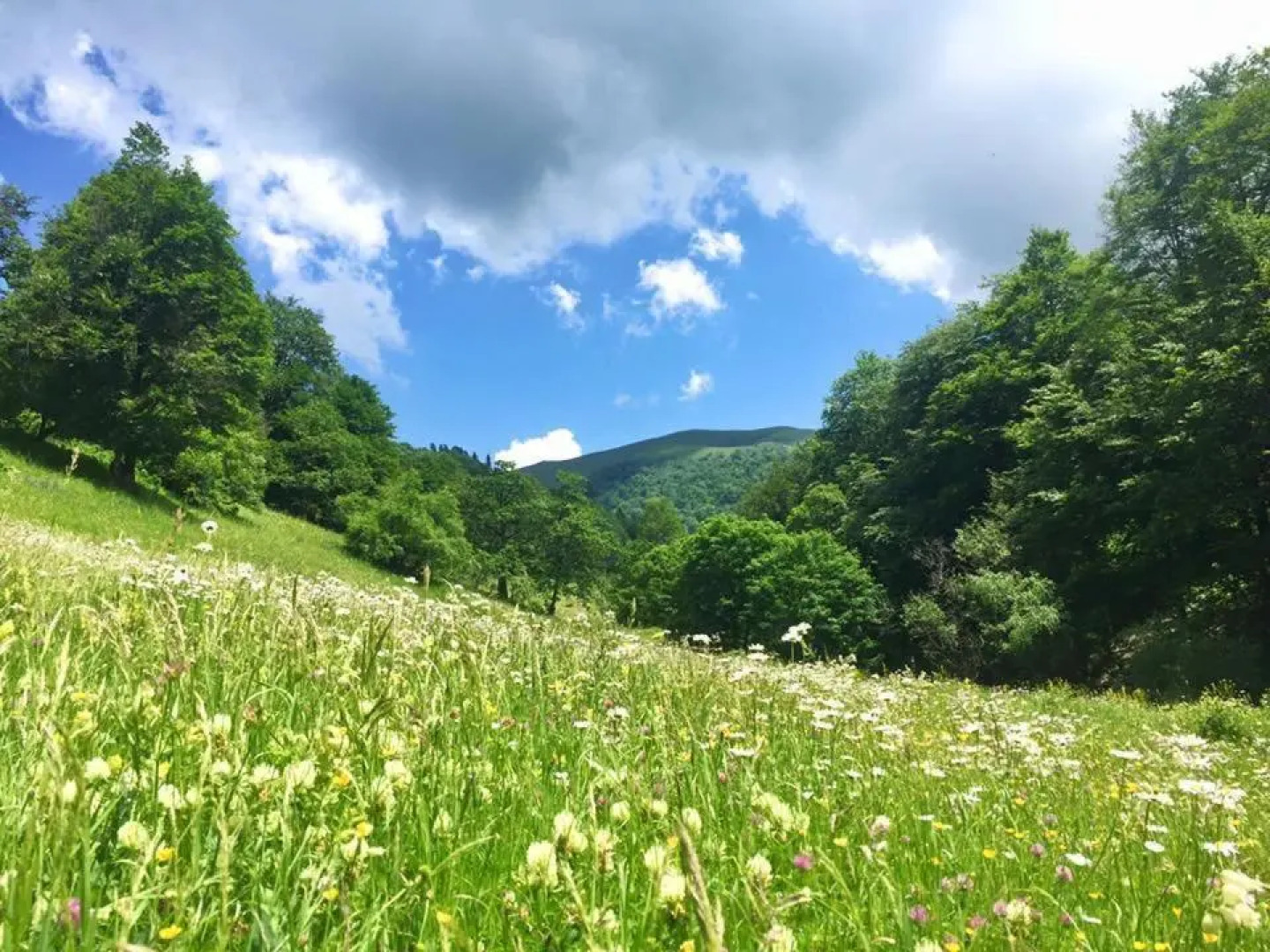 Orbi Palace Bakuriani app 407