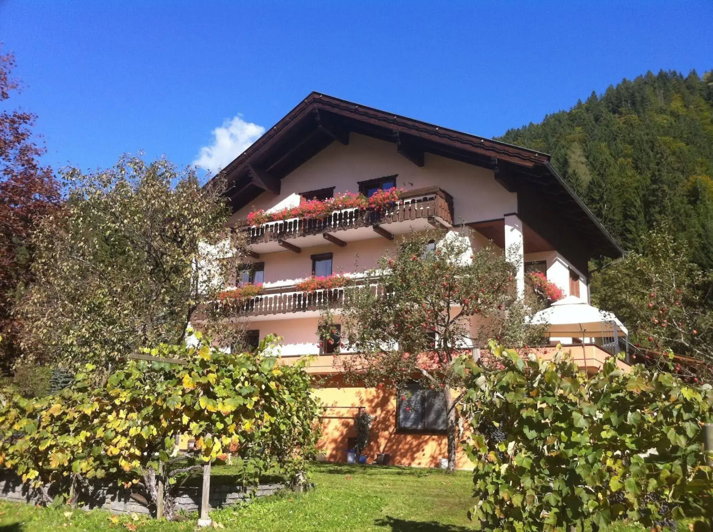 Enzianbrenner Bed & Breakfast