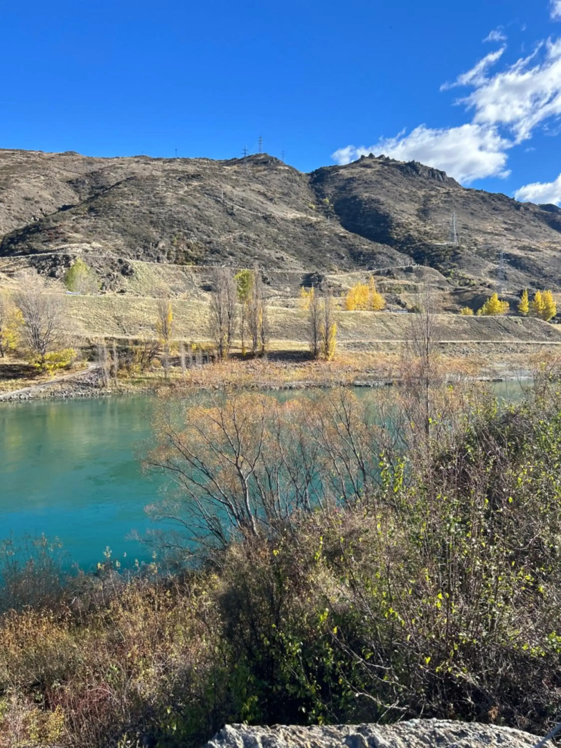 The Prospector on Miners