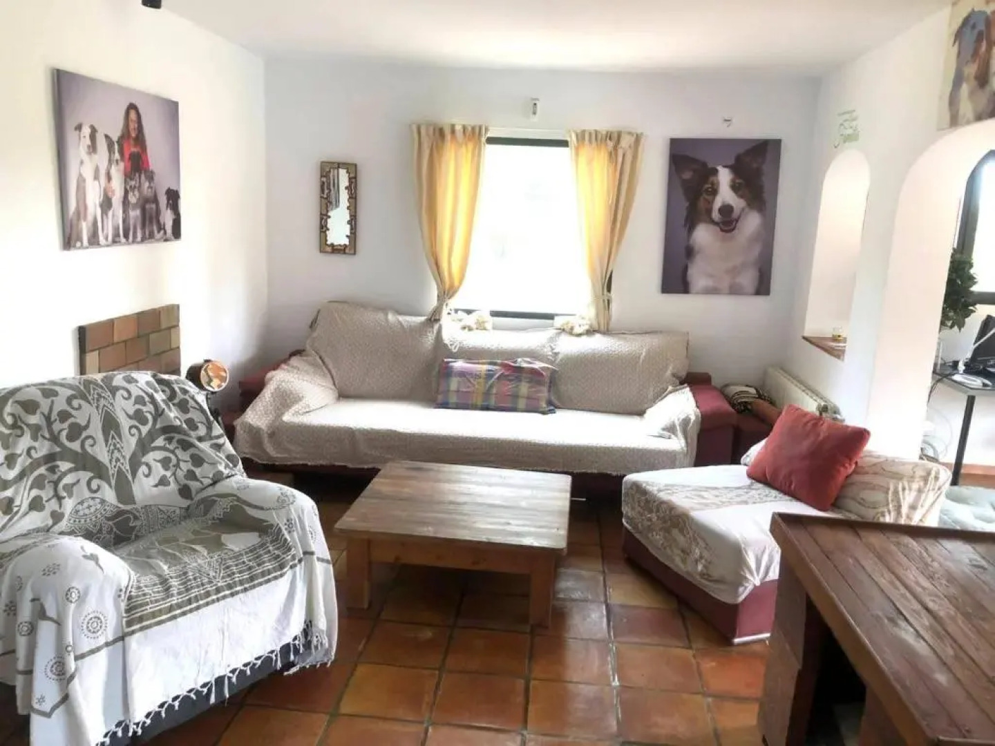 El Paraiso de los Perros