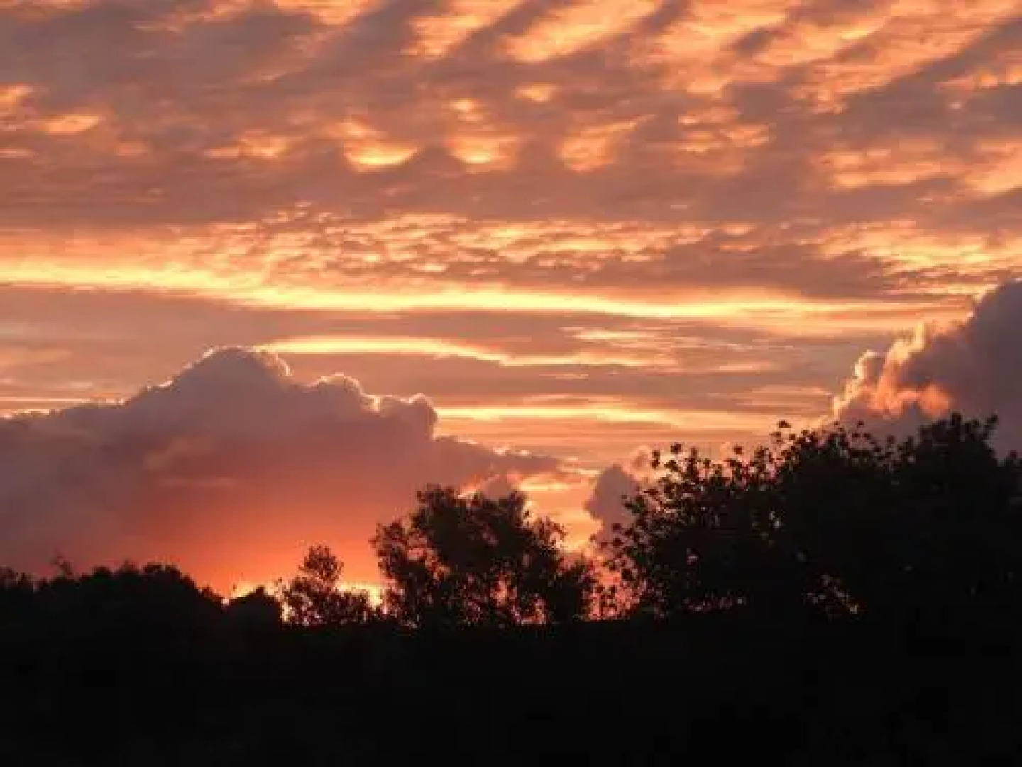 Hotel Rural Rocha da Gralheira