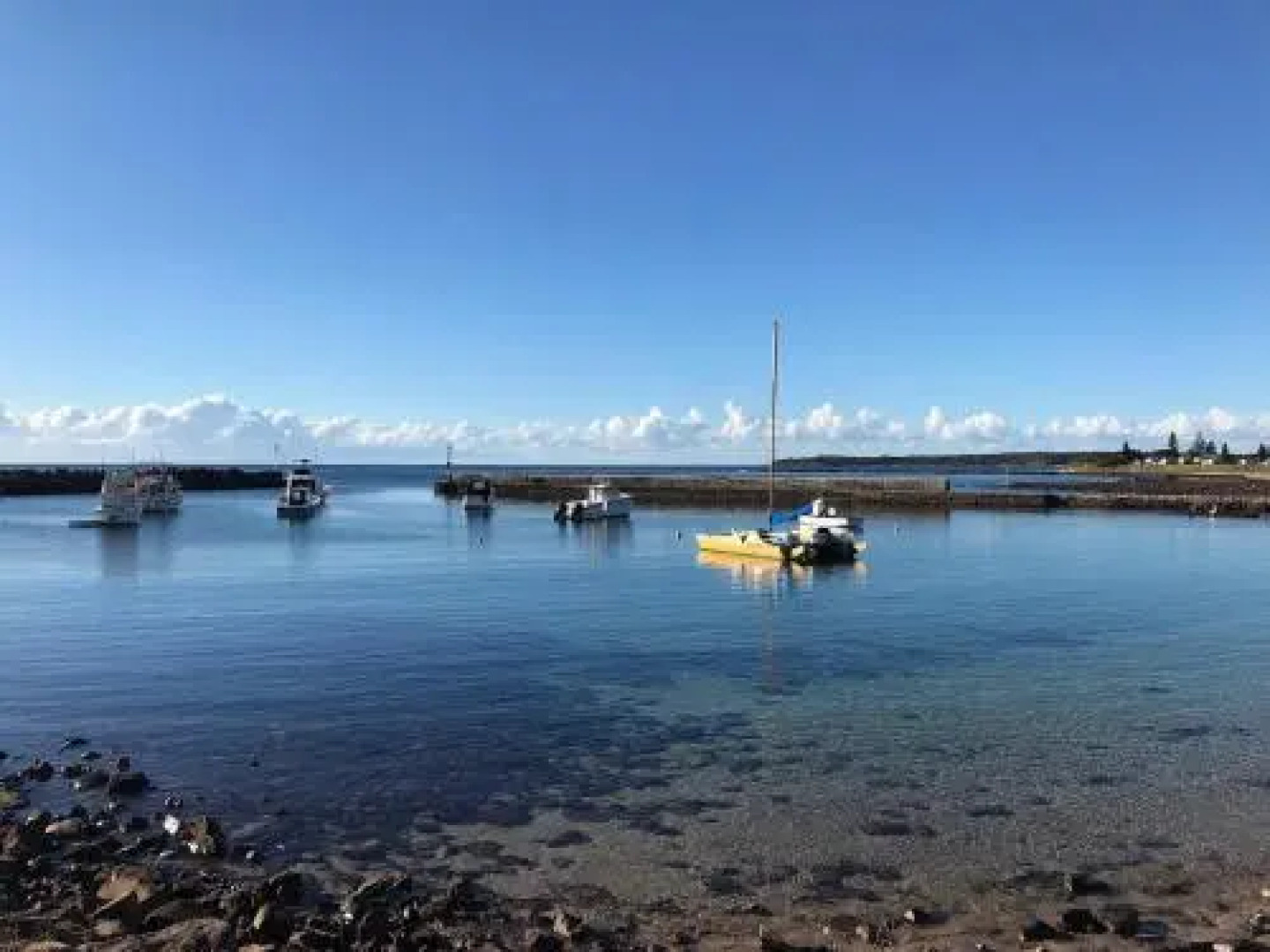 Pelicans Rest Shellharbour