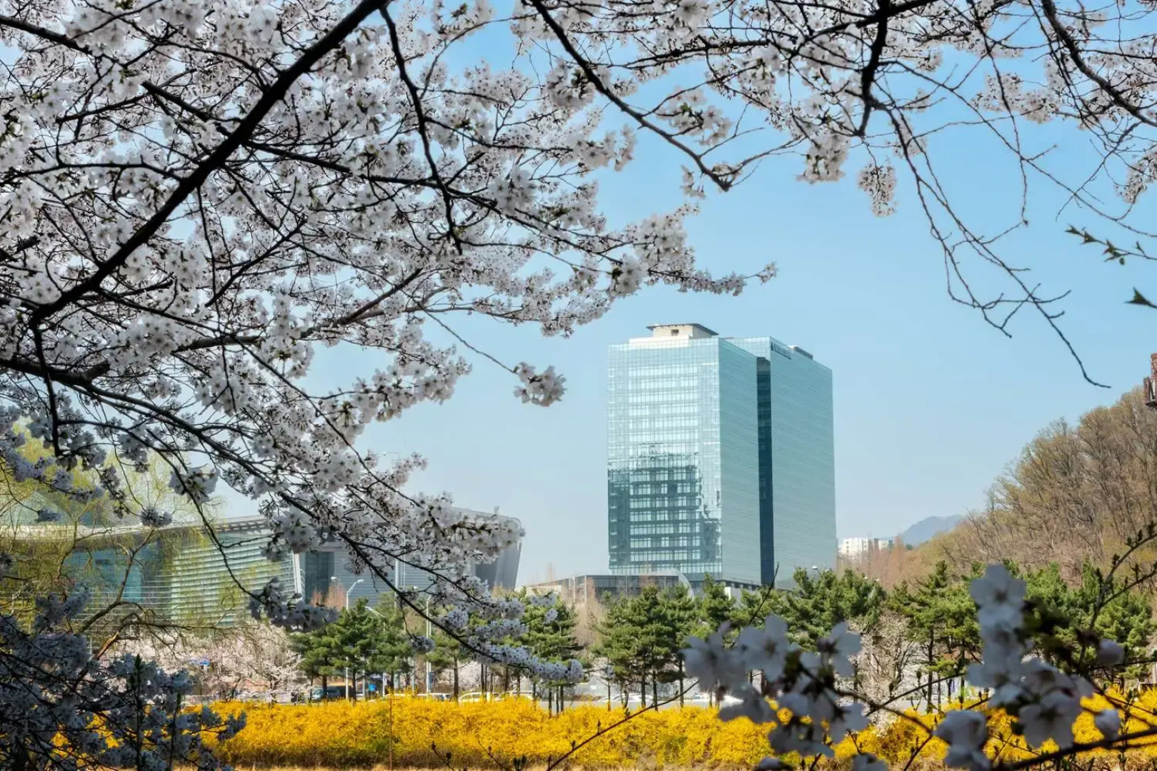 Doubletree By Hilton Seoul Pangyo Residences
