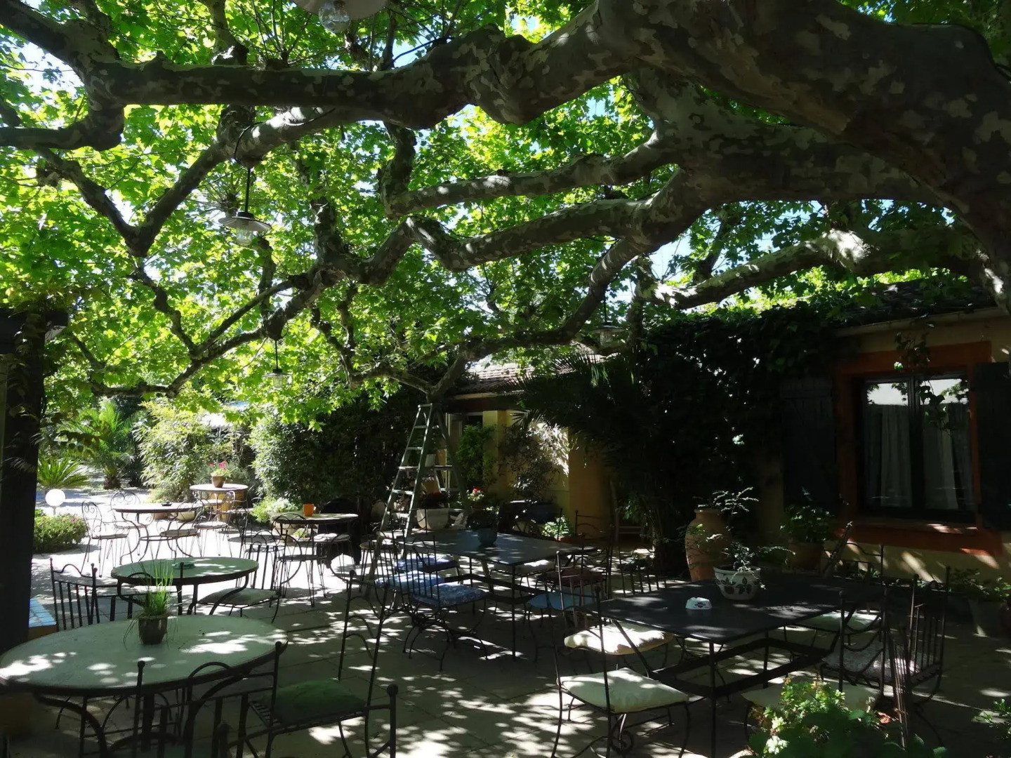 Hotel Beauséjour Les Palmiers