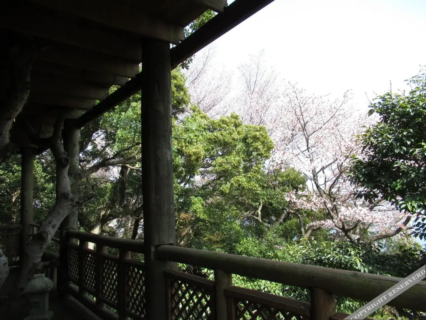 Chidori-An <Awajishima>