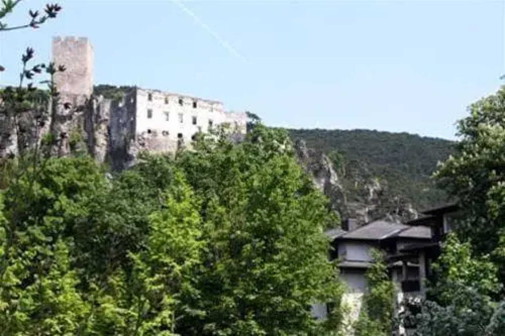 Schwarz Wienerwald Appartements