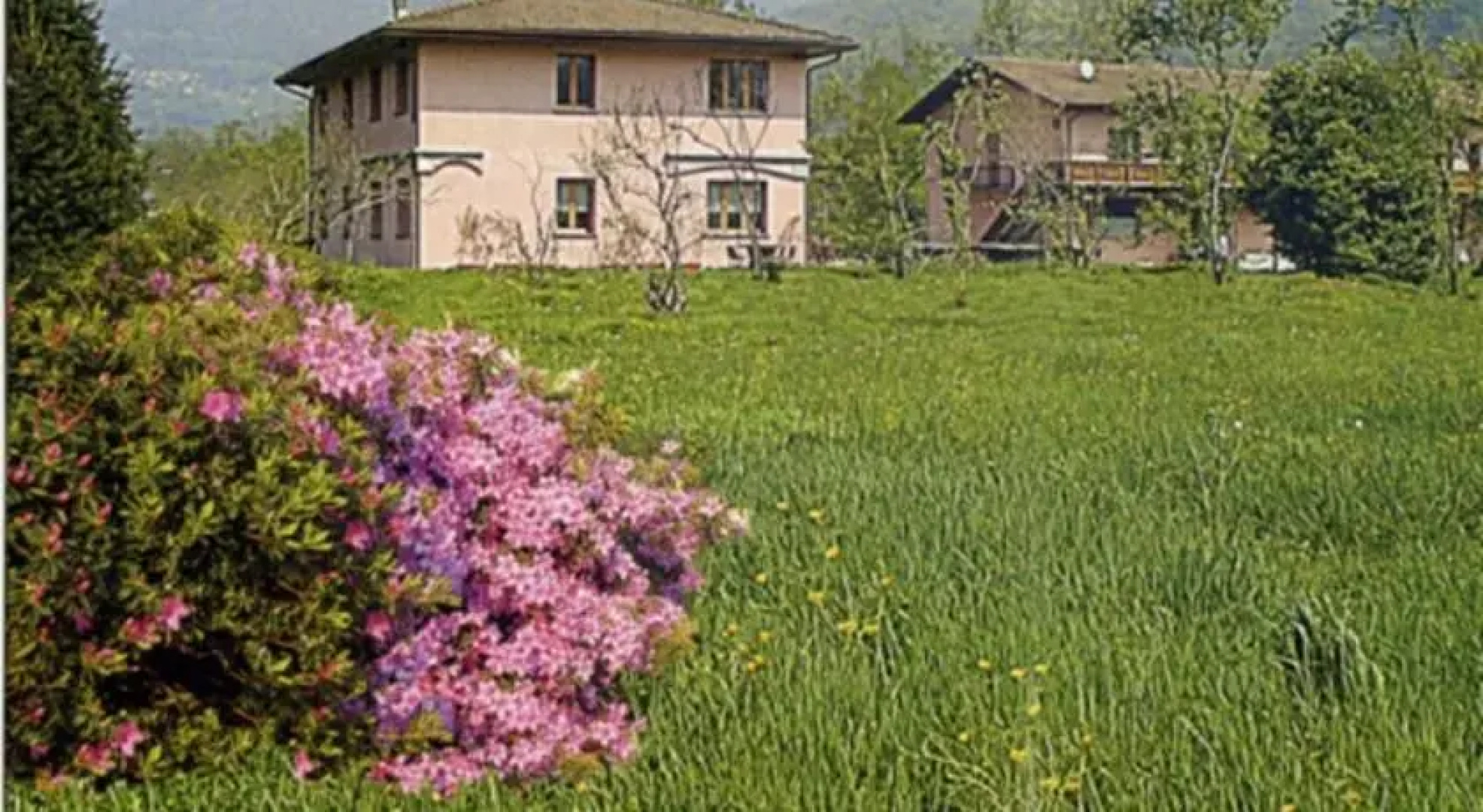 Al Cavallino Bianco