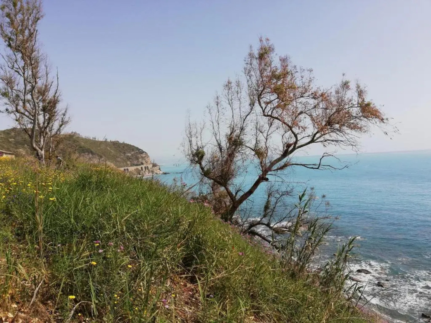 Residence Conchiglia