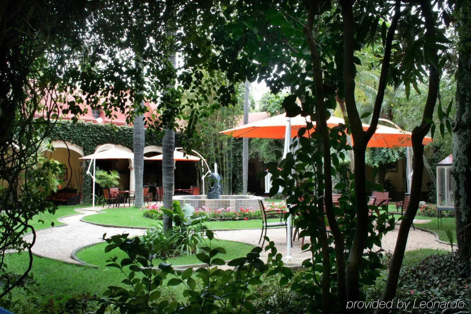 Racquet Cuernavaca