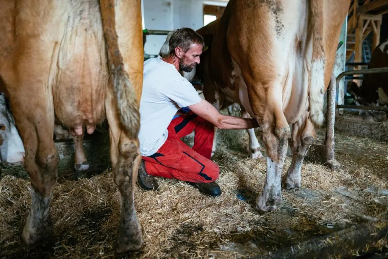 Ferienhof Rabenreith