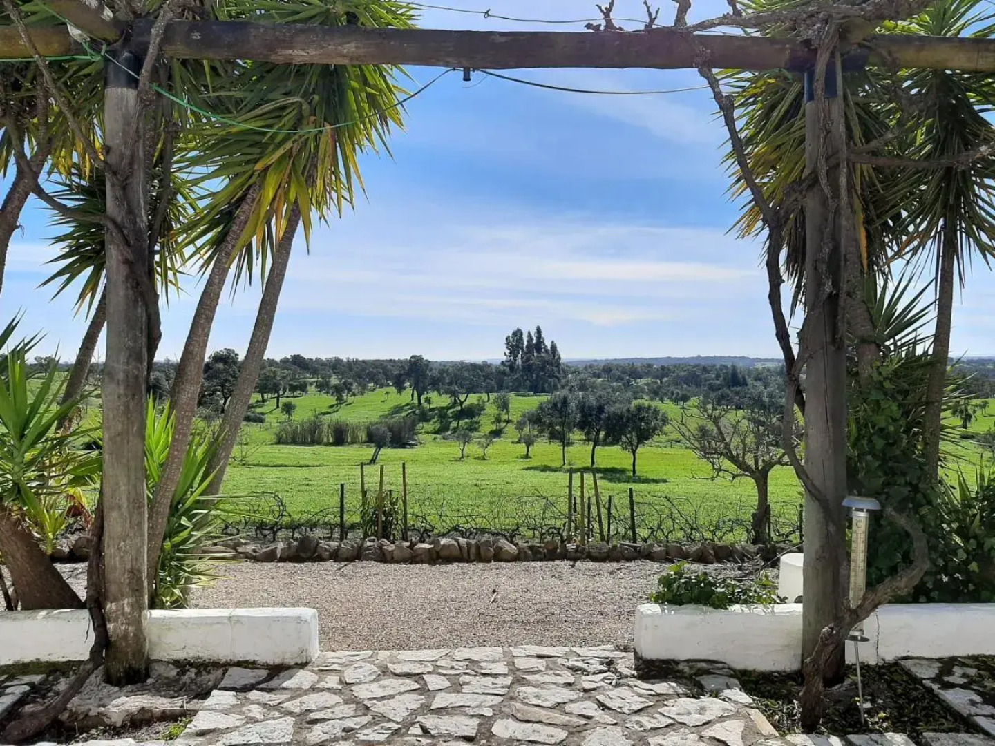 Monte da Casa Branca