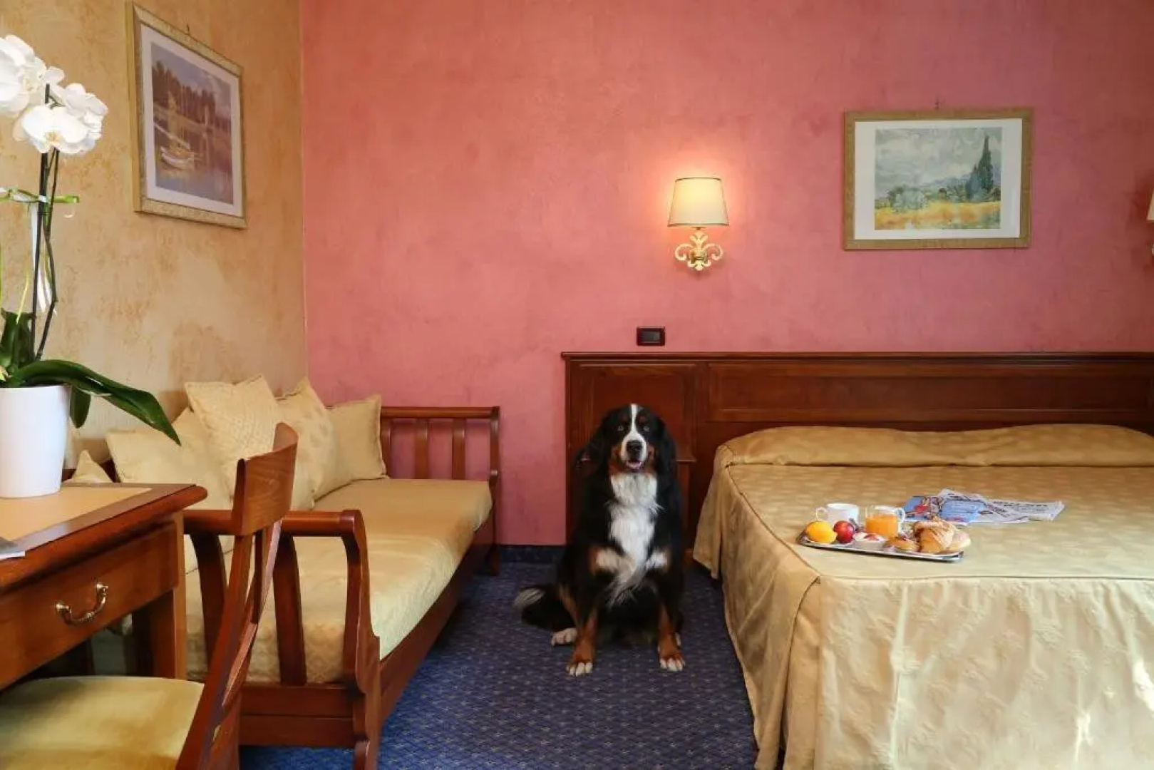 Hotel Abacus