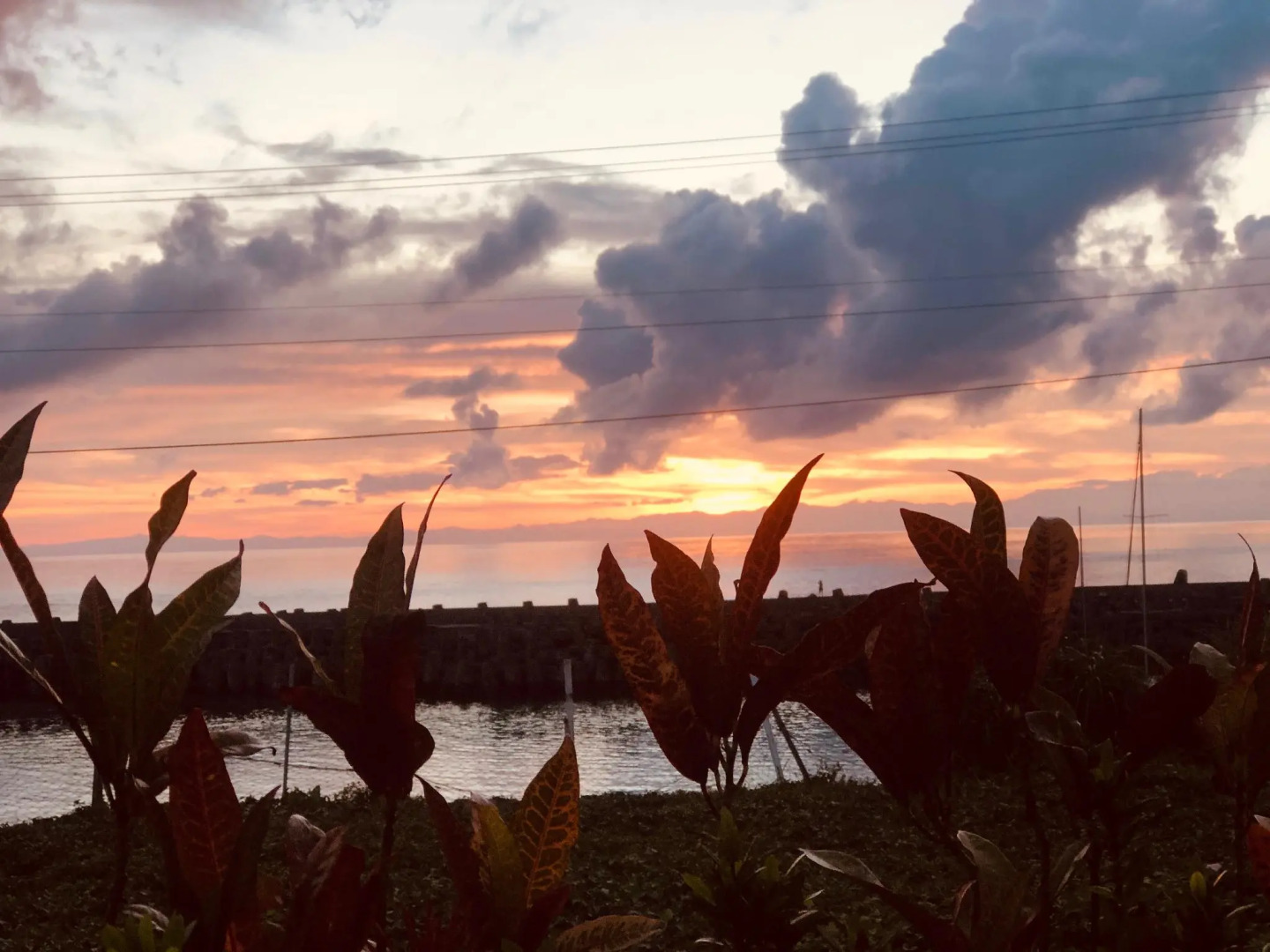 Blue Ocean SCUBA Homestay