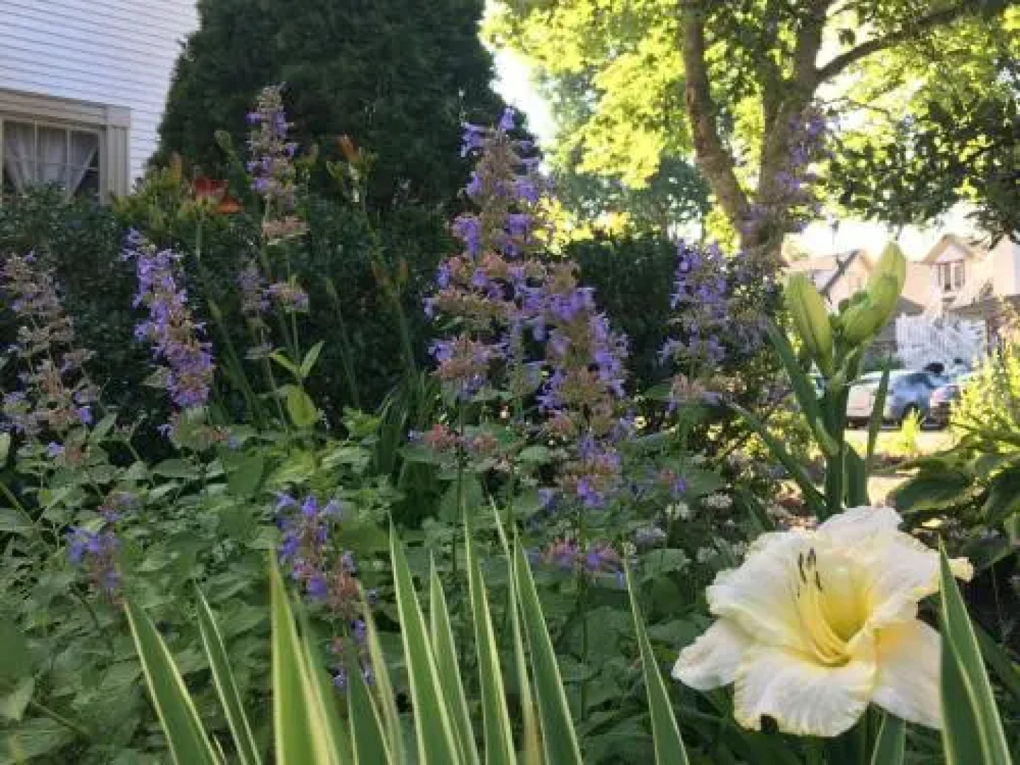 Black Boar Inn Ogunquit