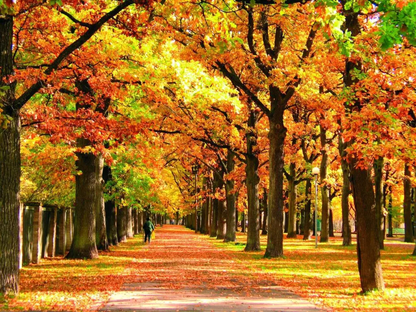 Отель «Койдулапарк»