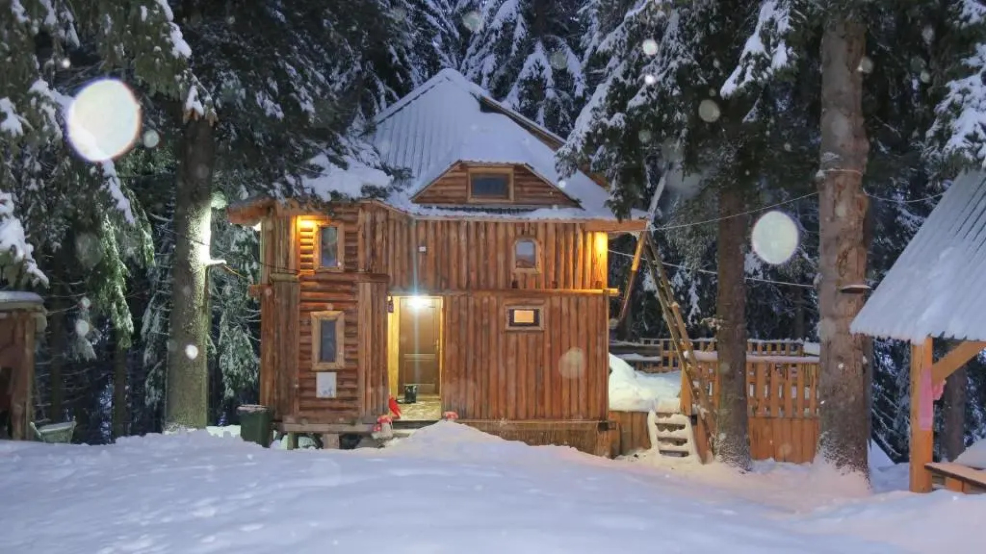 Lodge Between The Pine Trees