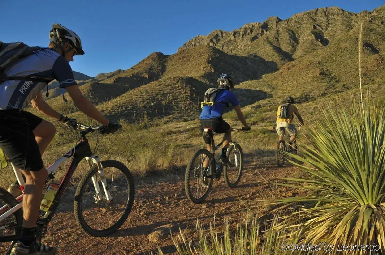 SpringHill Suites by Marriott El Paso