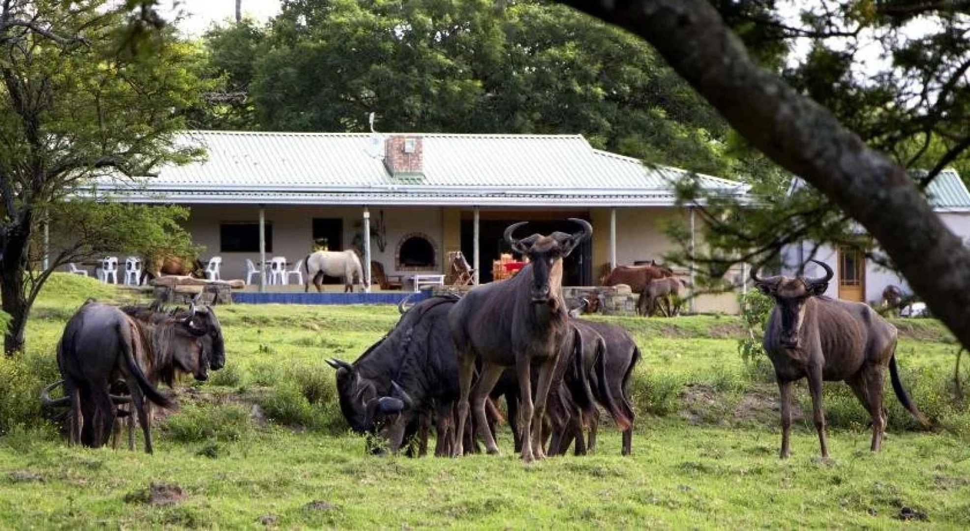 Santa Paloma Guest Farm