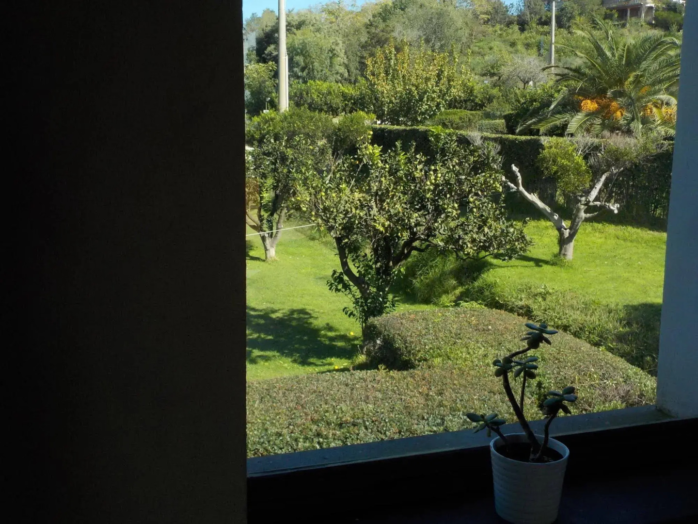 Flegrea House - Casa Rosa