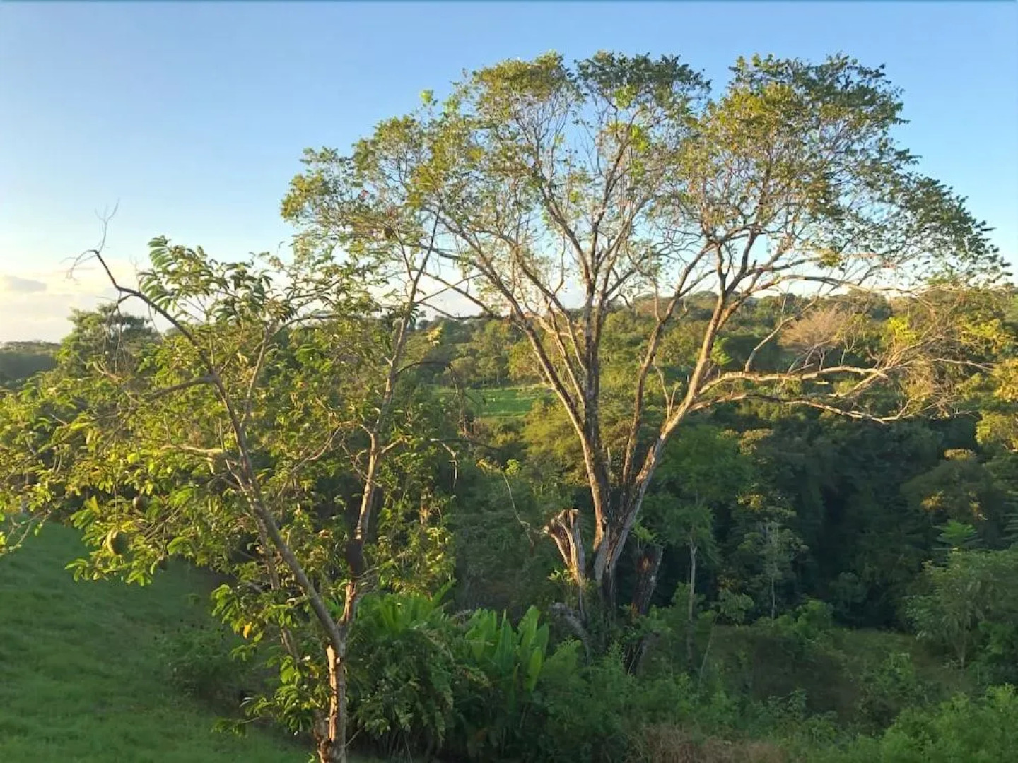 Casa Delicias Playa Montezuma