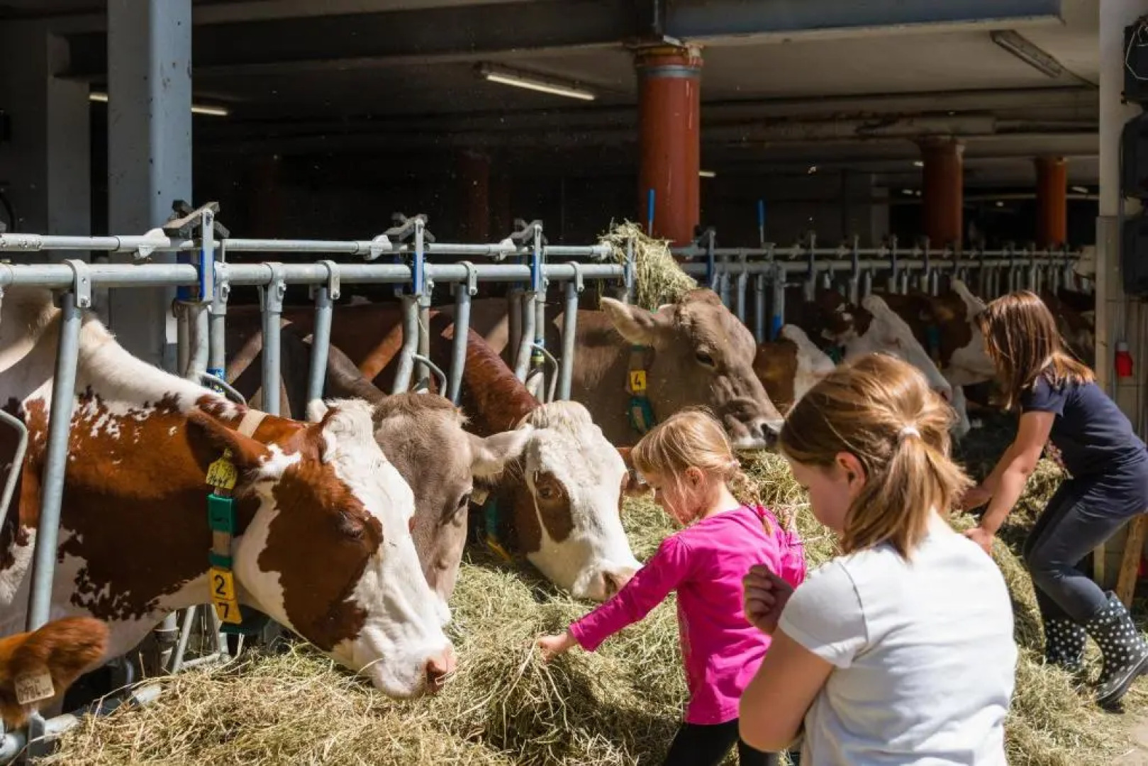 Ferienwohnungen Plattnerhof