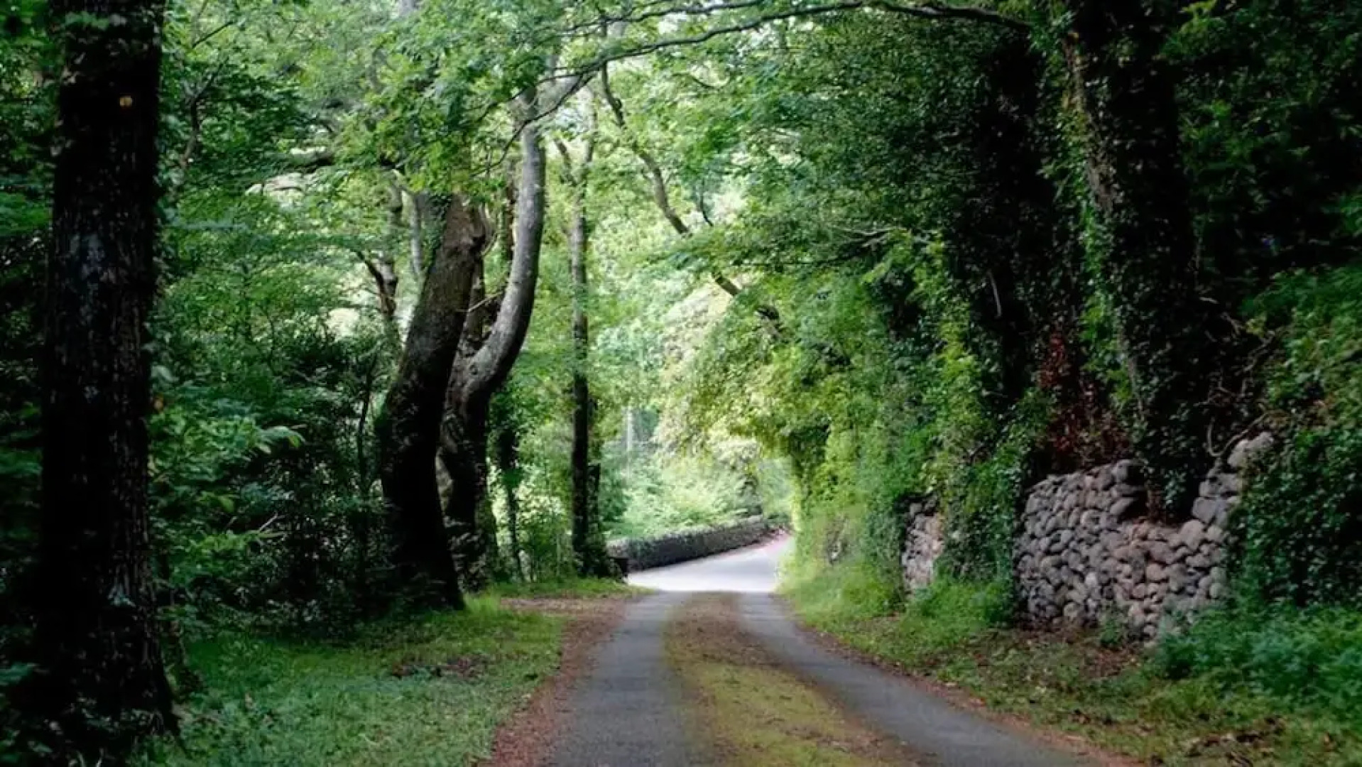 Eryl cottage in Rowen
