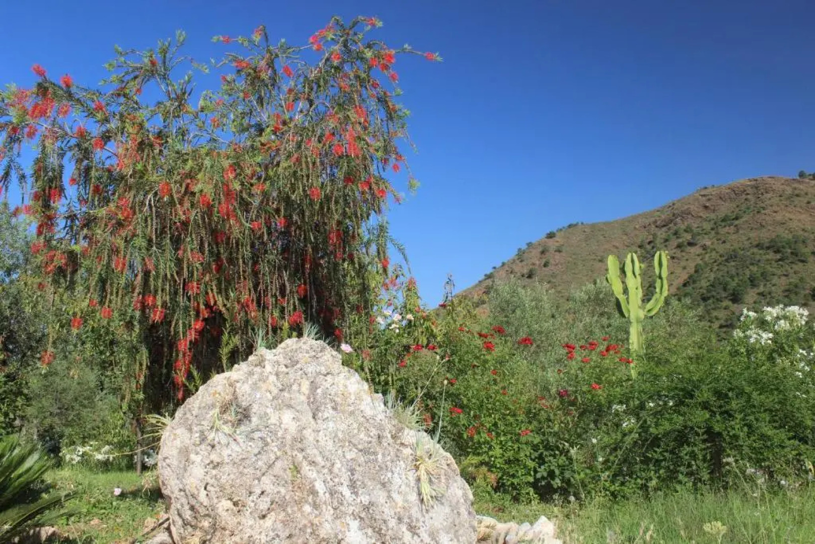 Alojamiento Rural Alfaguara