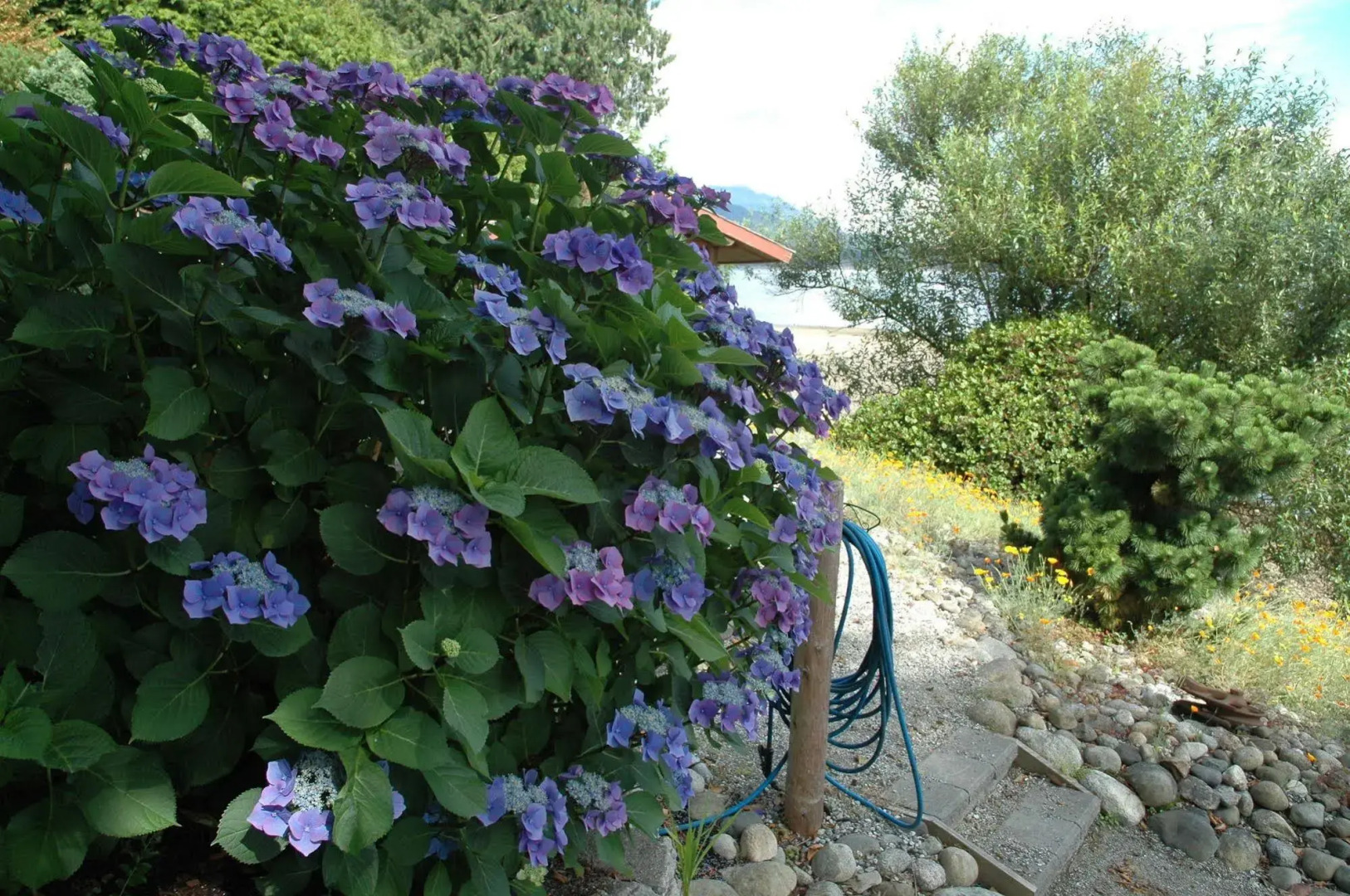 At The Shore Bed and Breakfast