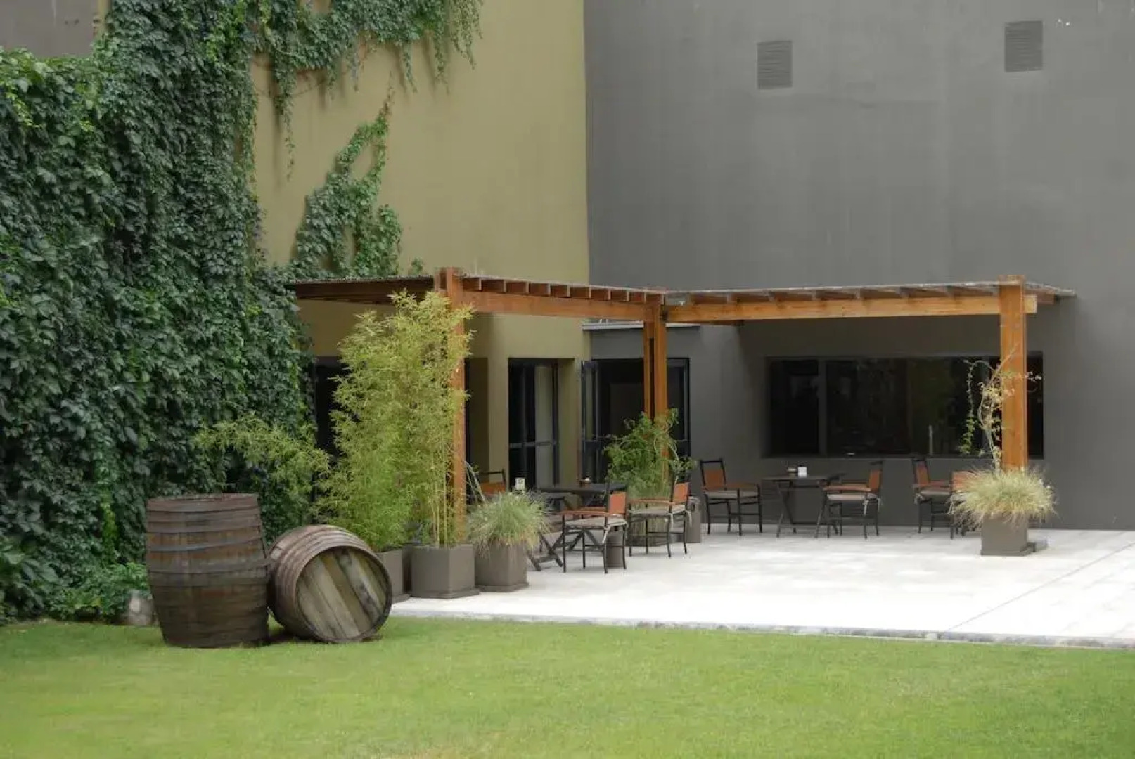 Raices Aconcagua Mendoza