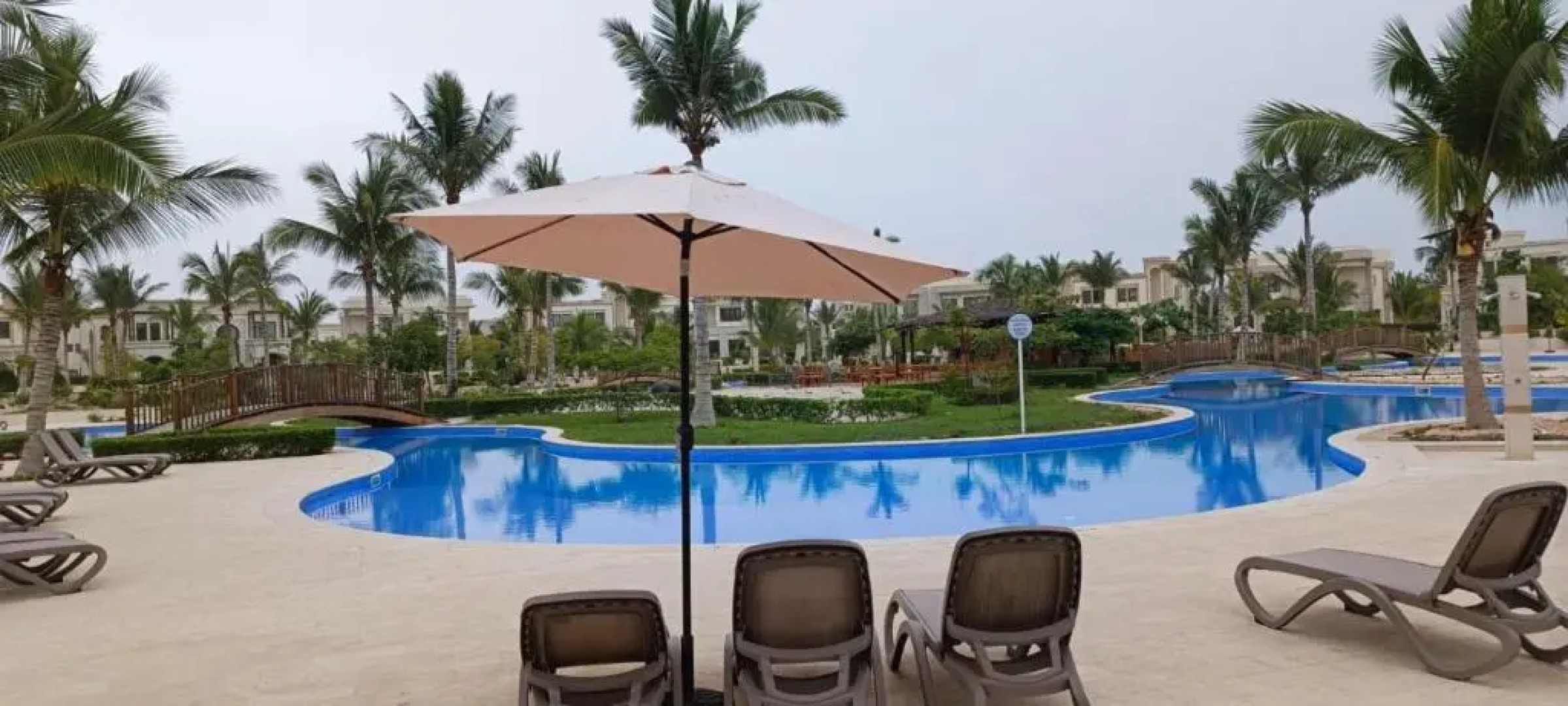 Acacia Flower AC 8-201