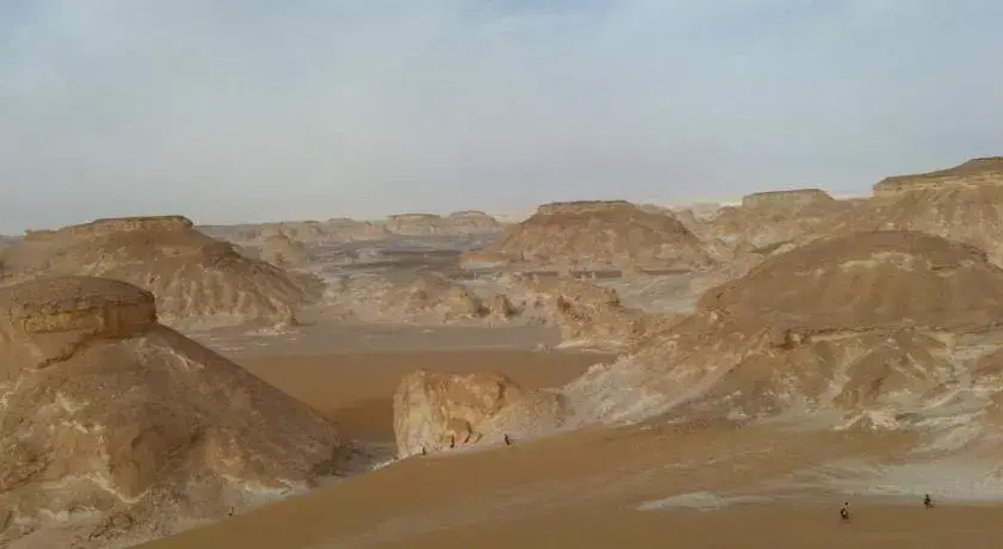 Desert Fox Club Camp