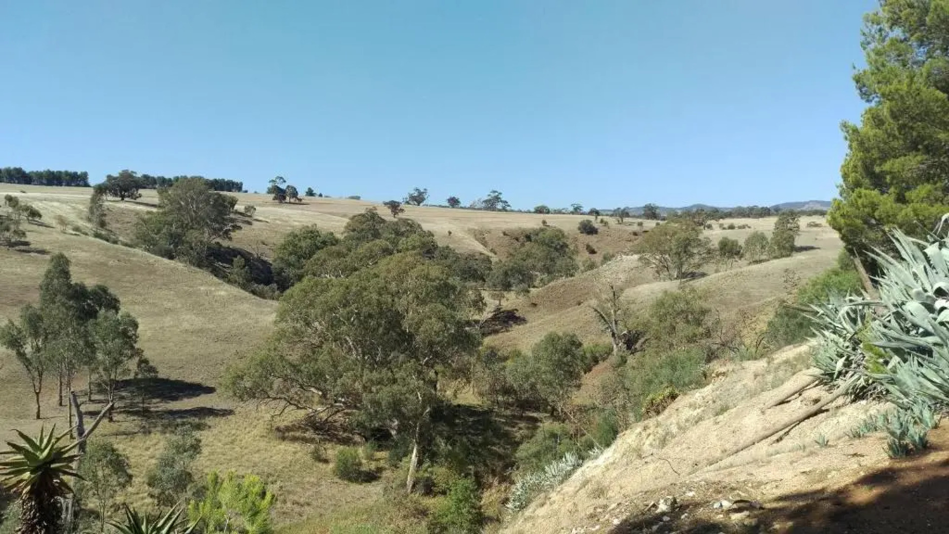 The Cottage at Riverside Farm