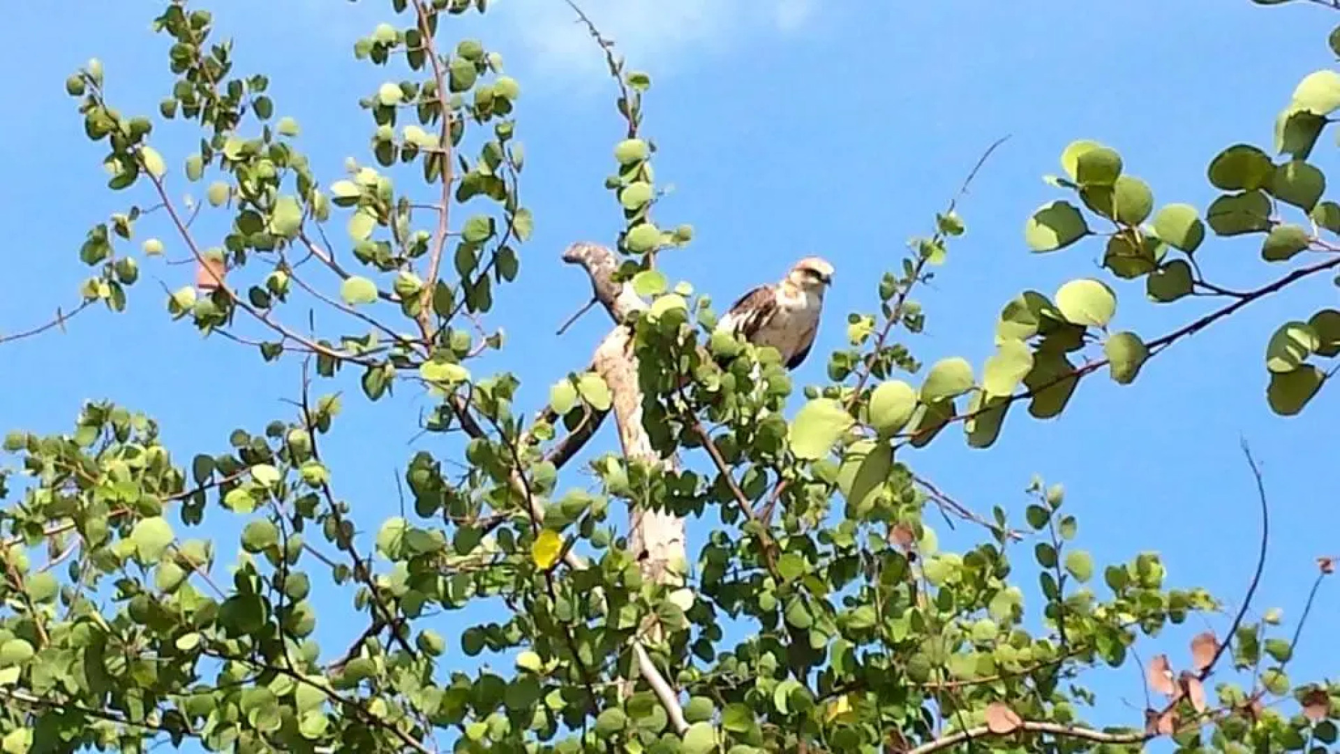 Shangri-Lanka Village
