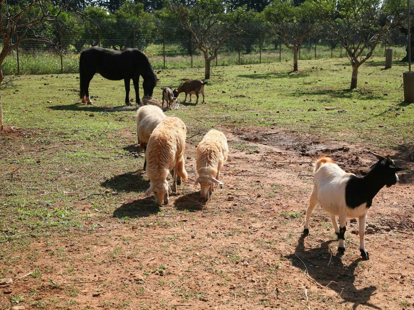 Case di Latomie Agriturismo - Turismo Rurale