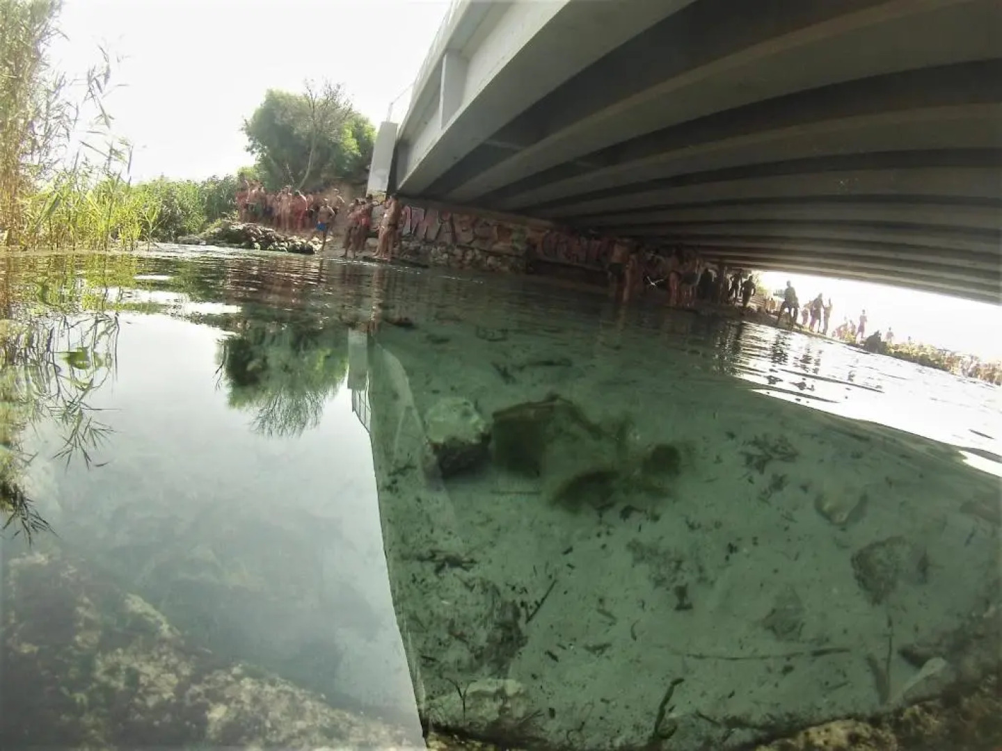 Na Chicca e na Nicchia