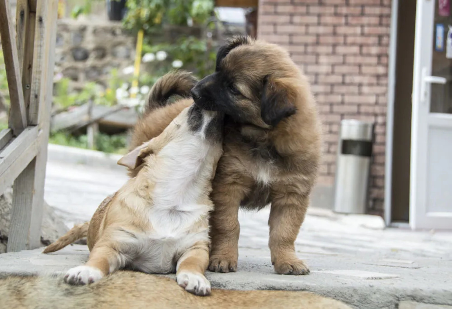 HyeLandz Eco Village Resort