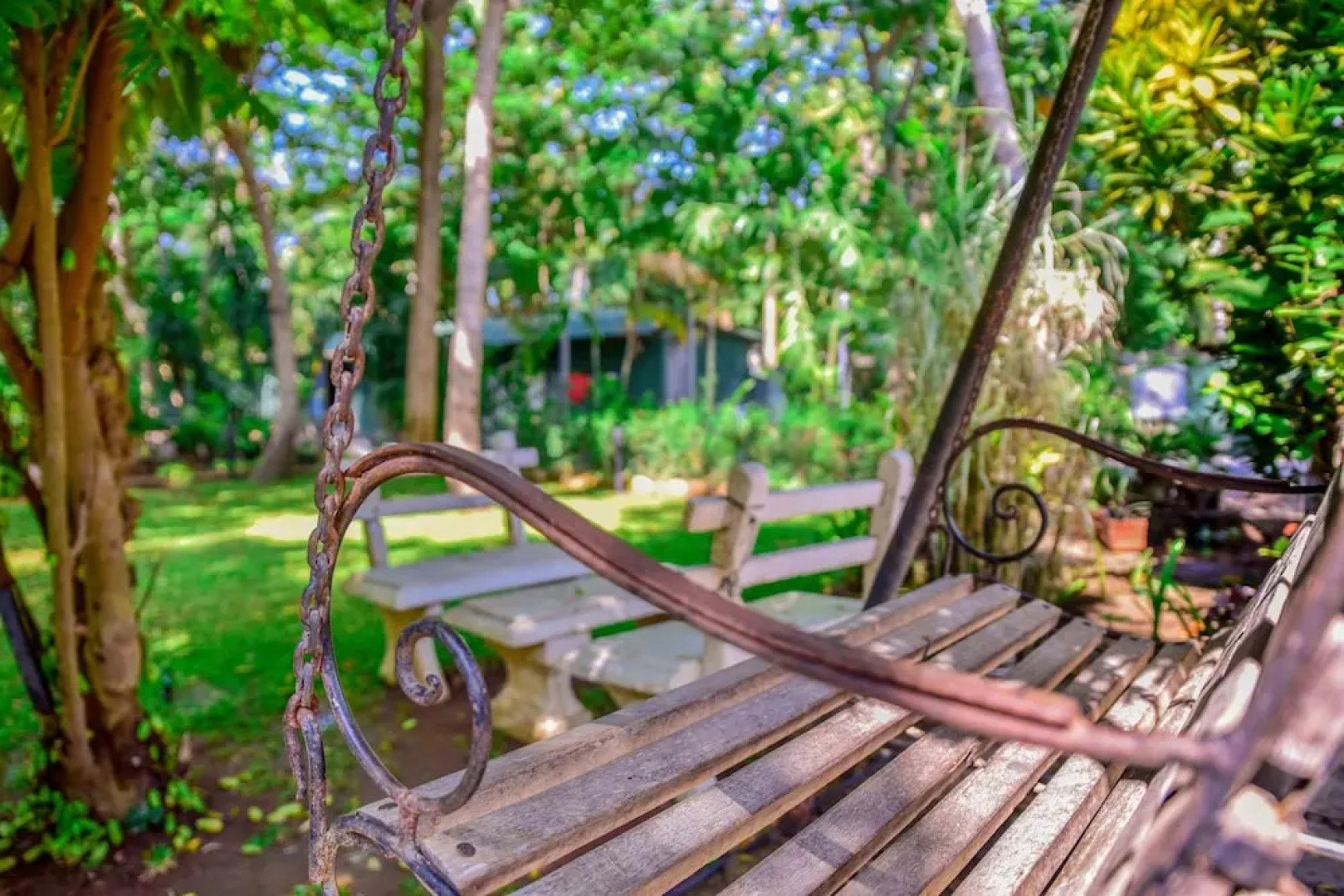 Rice of Life by Tissa Inn