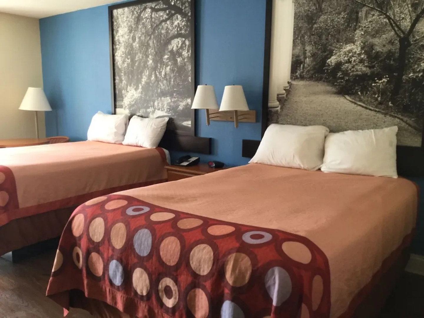 Super 8 Motel - Walterboro