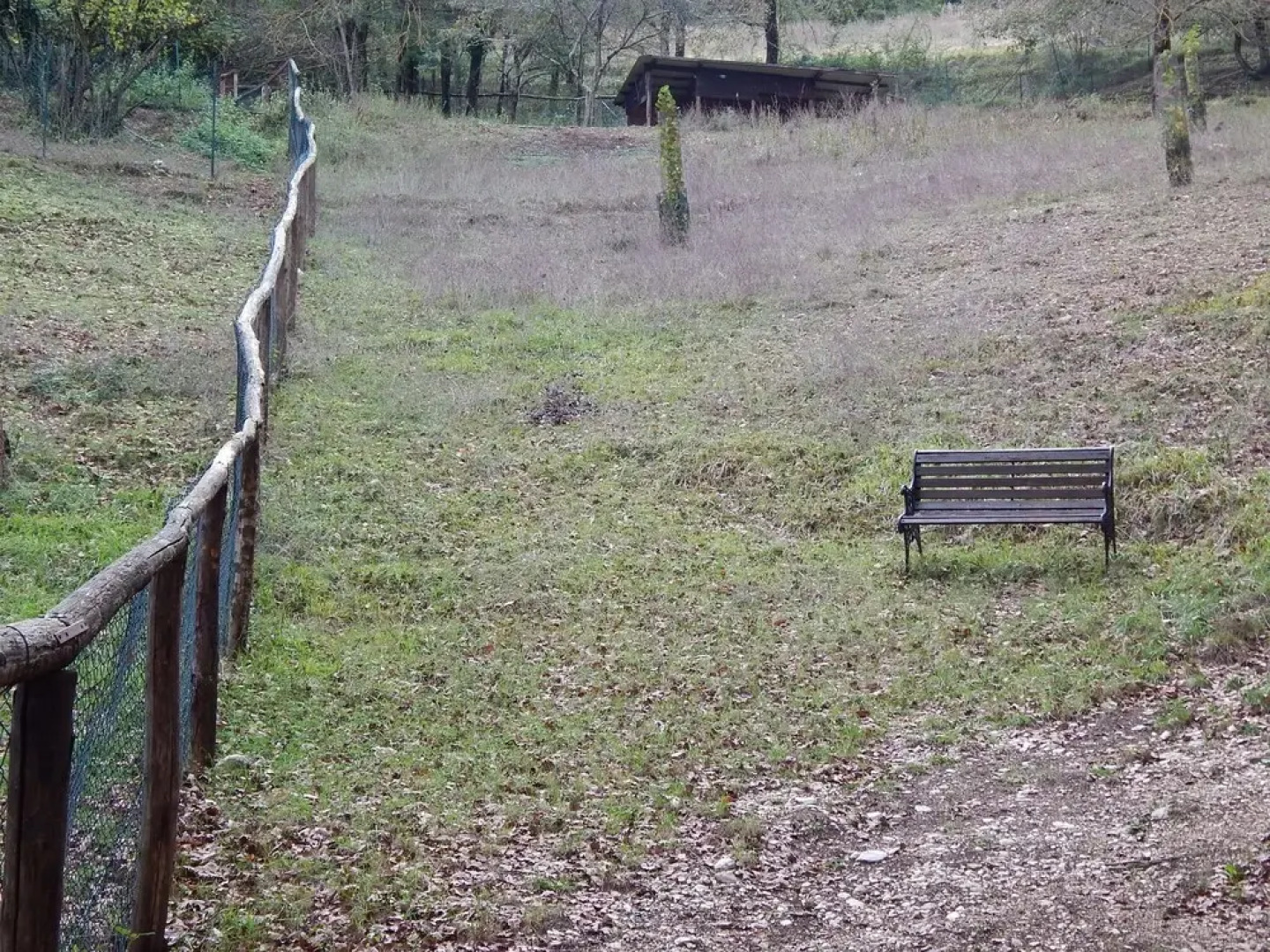 Agriturismo La Selva
