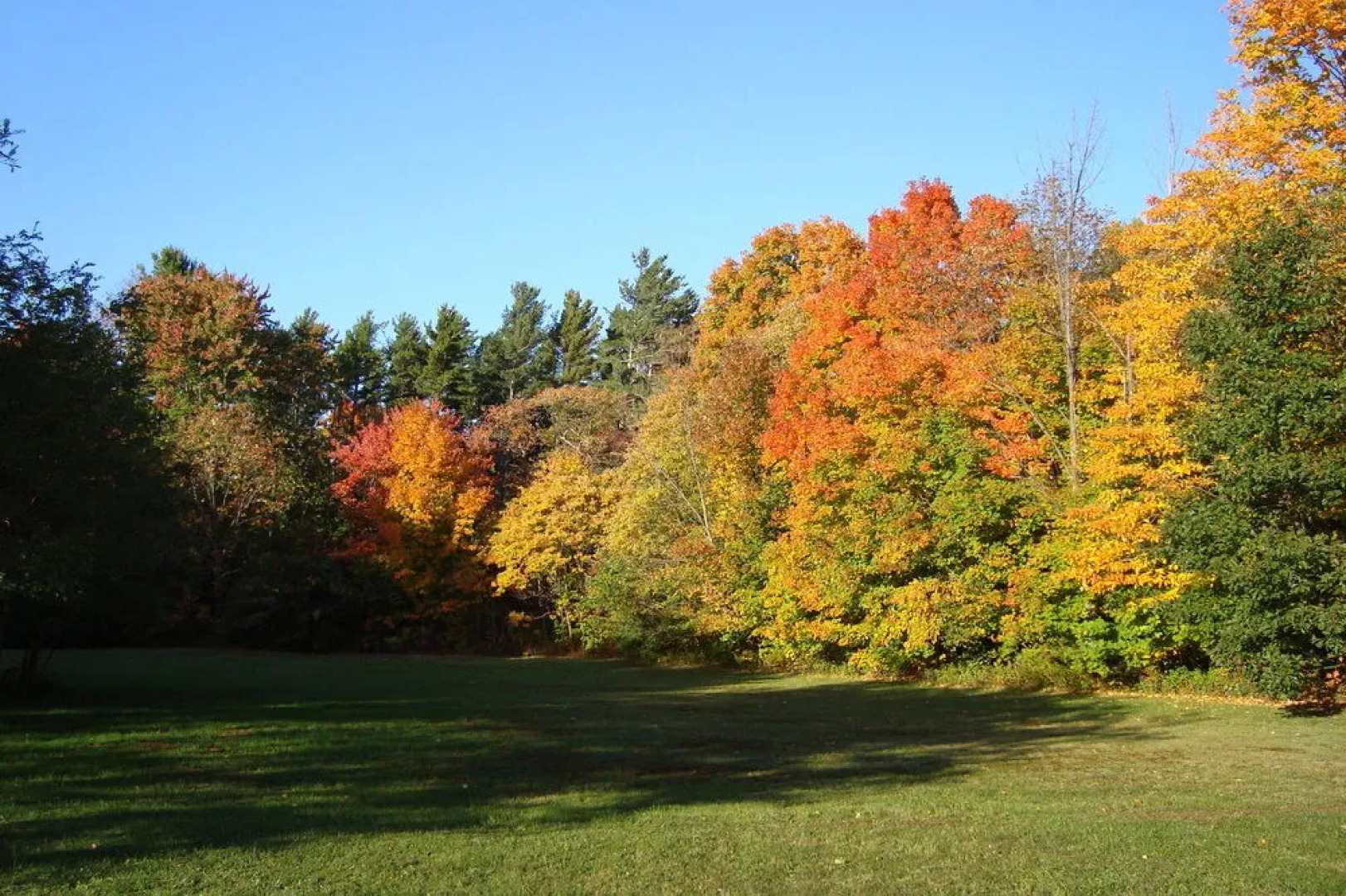 The Clark House Bed and Breakfast