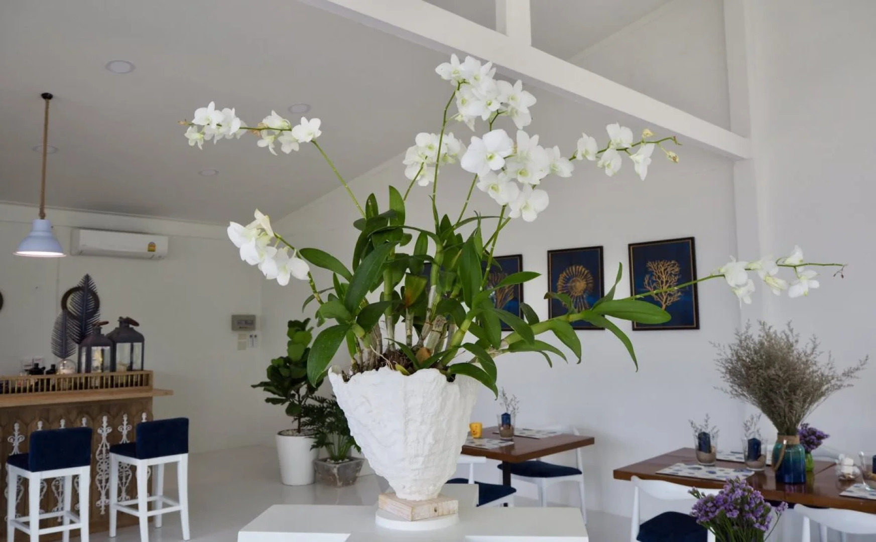 Purin Resort & Restaurant