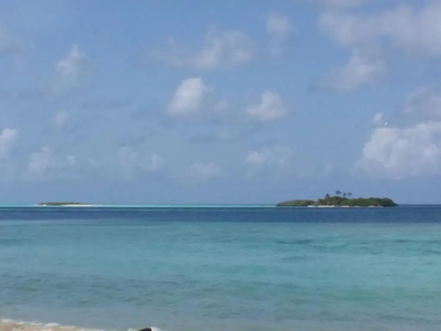 Отель Palm Residence