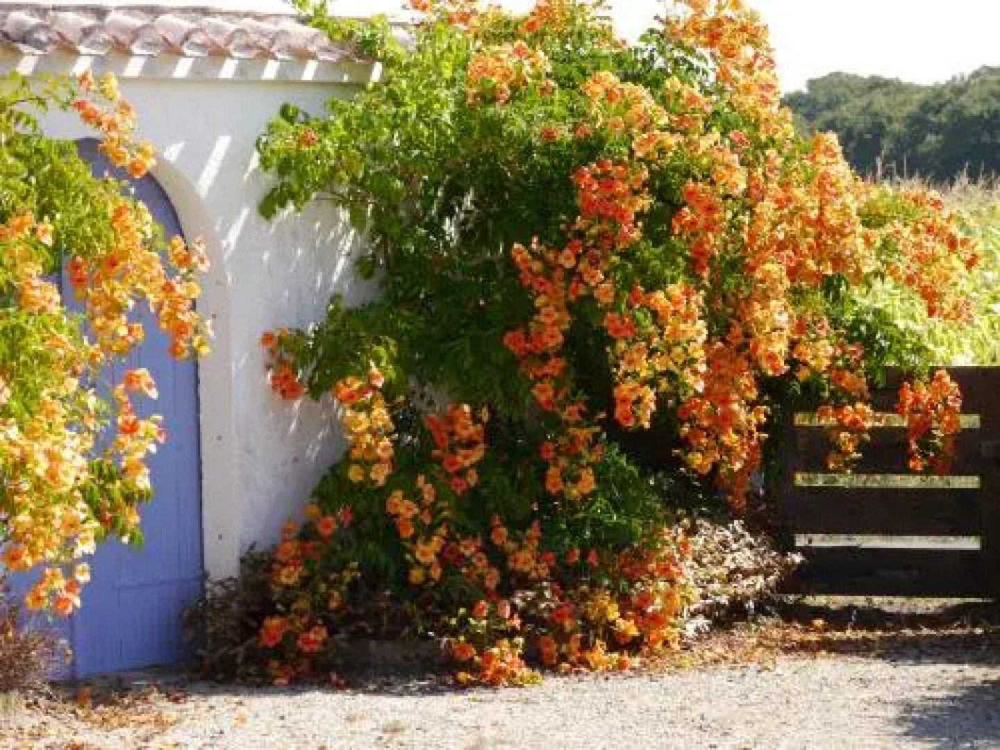 Une Escale à Pornic chambres d'hôtes 4 épis