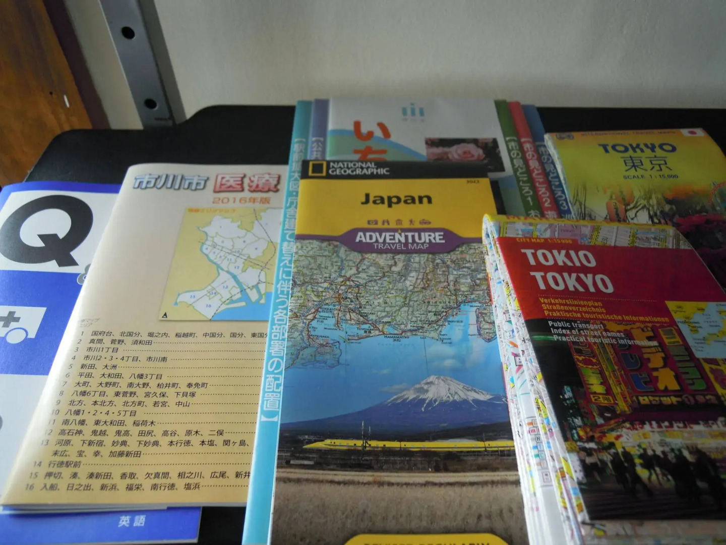 SLE Japan Ichikawa House